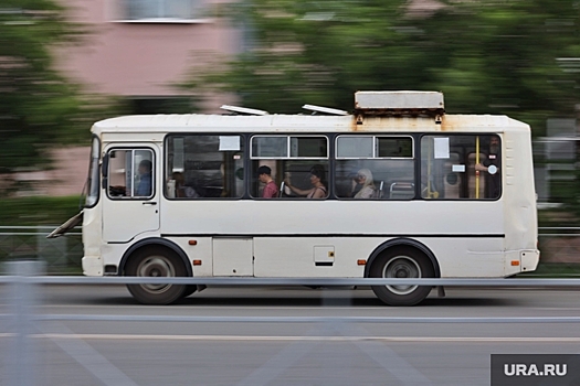 Курганские автобусы фото