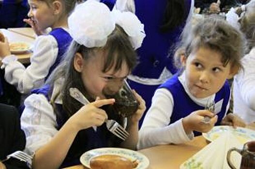Когда ставропольские школьники получат бесплатные горячие обеды?