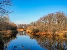 В Хворостянке прошел экологический субботник у озера Морозиха