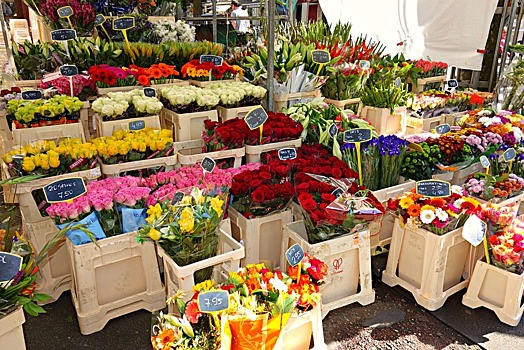 Эксперты дали советы по выбору цветов на 8 марта