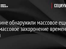 В Гатчине обнаружили еще одно массовое захоронение времен войны