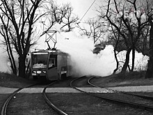 Водитель мопеда попал под трамвай во Владивостоке