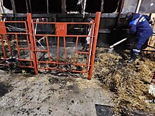 В Атнинском районе Татарстана загорелась животноводческая ферма