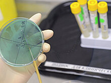 Минздрав поможет лечить пациентов с кишечной инфекцией в Махачкале