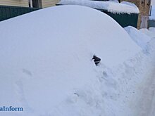 В Пензенской области за 3 дня выпали 3 декадные нормы осадков