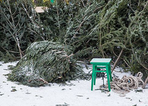 Начало следующей недели будет в Кузбассе морозным