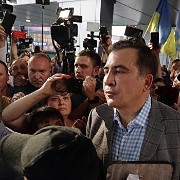 Очень свободные радикалы. Саакашвили и его советница Гайдар ищут себя на Украине