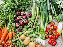 ТЦСО «Бутово» опубликовал лайфхаки для садоводов любителей