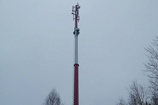 Блохи - с интернетом