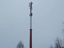 Блохи - с интернетом