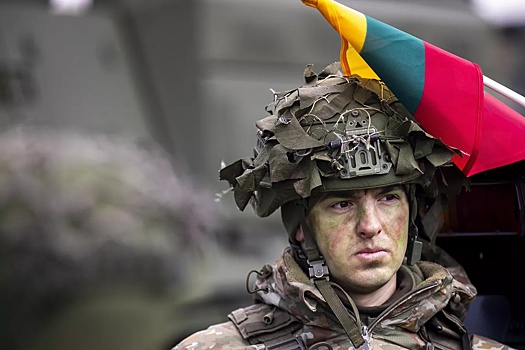 Вайкшнорас: при текущем финансировании литовская армия может использовать только коктейли Молотова