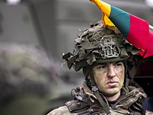 Вайкшнорас: при текущем финансировании литовская армия может использовать только коктейли Молотова