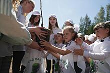 Волонтеры РМК посадили 25 тысяч деревьев в «Саду памяти»