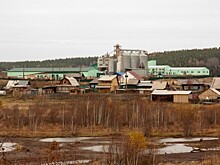 Красноярский агропромышленный комплекс «Деметра» выставлен на продажу