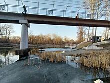 Инвестор парка альпак встретится с курянами и объяснит особенности проекта