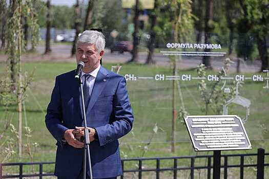 На карте Воронежа появился проезд Разумова