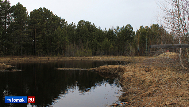 Потерявшегося в тайге нефтяника госпитализировали