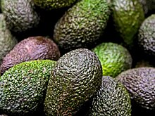 Диетолог рассказала о неожиданной пользе авокадо