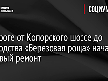 На дороге от Копорского шоссе до садоводства «Березовая роща» начался плановый ремонт