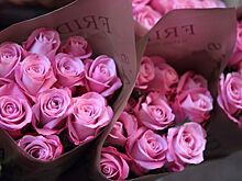 Какие цветы стоит дарить, а какие нет