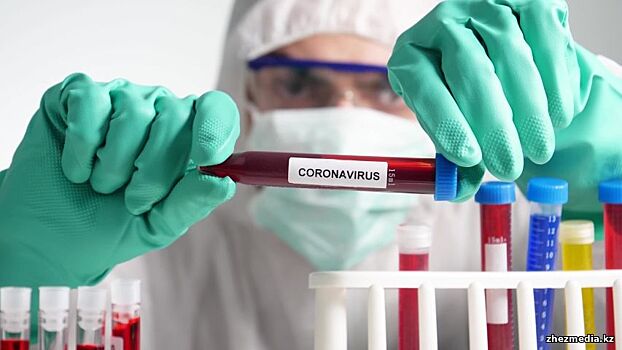 COVID-19: в крае 163 случая, в Анапе 6 случаев