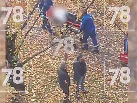 Восьмиклассница выпала из окна школы в Санкт-Петербурге