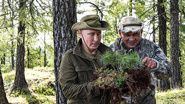 Путин допустил риск остаться без леса