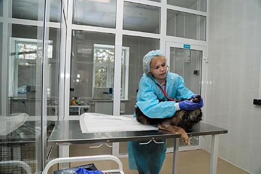 Фонд «Вольное дело» открыл ветеринарный центр в Свердловской области