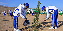 Сердар Бердымухамедов и члены правительства Туркменистана посадили деревья