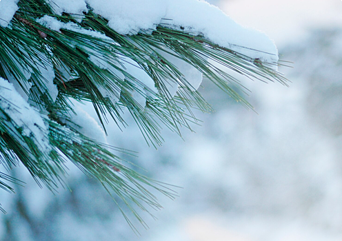 Климатологи предупреждают о значительных изменениях погоды в Новосибирске в ноябре 2025 года