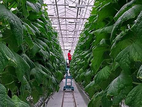 В Самарской области работодатели предлагают более 48 тыс. вакансий