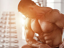 Конец эволюции человека. Почему нам уже не стать выше, сильнее и выносливее