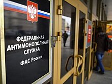 УФАС: челябинская гордума признана нарушившей закон