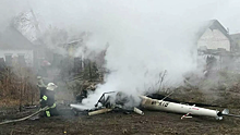Украинский экс-министр погиб в авиакатастрофе