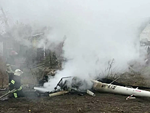 Украинский экс-министр погиб в авиакатастрофе