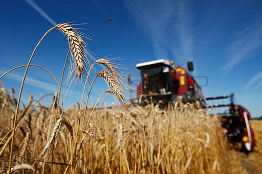 Глава РЗС Злочевский: в этом году в России не смогут собрать рекордный объем зерна в результате аномальной жары