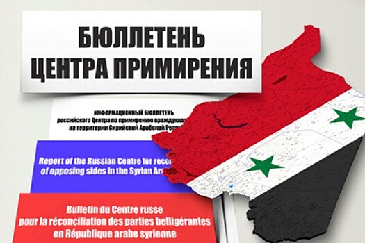 Сирийские оппозиционеры попросили у военных РФ защиты от ИГ