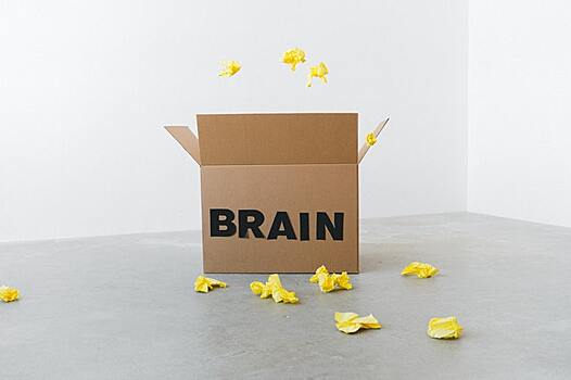 Мозг способен блокировать сохранение некоторых воспоминаний