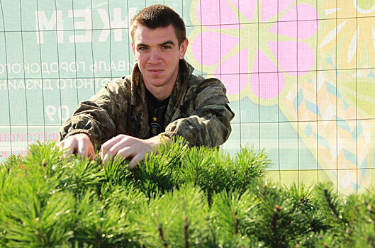 Программу по озеленению территории реализуют в Московском