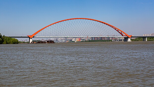 В Новосибирске новые чужеродные рыбы угрожают экосистеме Оби