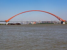 В Новосибирске новые чужеродные рыбы угрожают экосистеме Оби