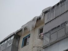 В Воронеже наледь упала на женщину с коляской и директора школы искусств