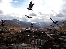 Землетрясение произошло на границе России и Монголии