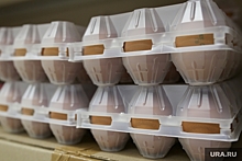 Рост цен на куриные яйца в ЯНАО до конца года прекратится