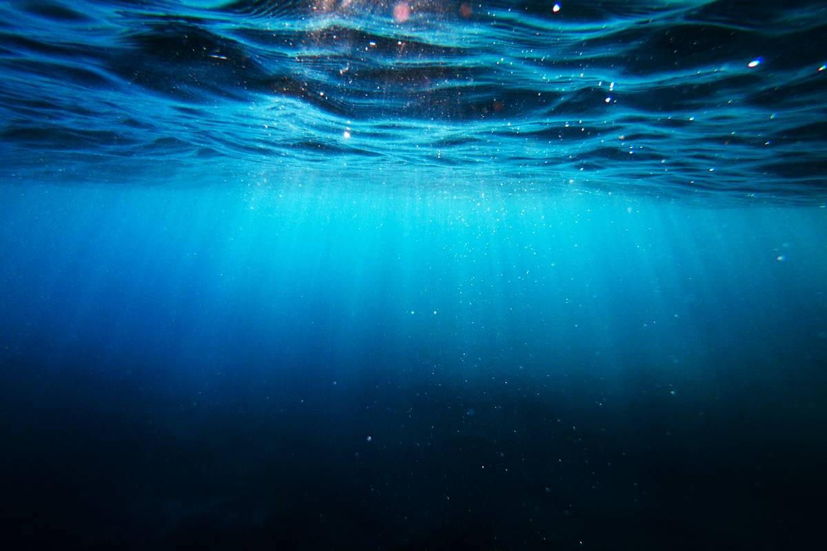 Мировой океан начал терять свет