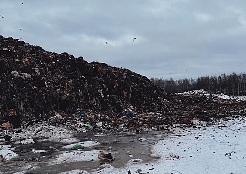 Мусорный полигон в Нижнем Новгороде закрыли за нарушения
