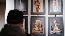 Порядка 400 вологжан посетили выставку «Гранж Оммаж»