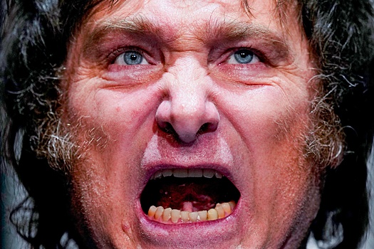 Президент Аргентины Милей запланировал свыше 300 "шоковых" реформ