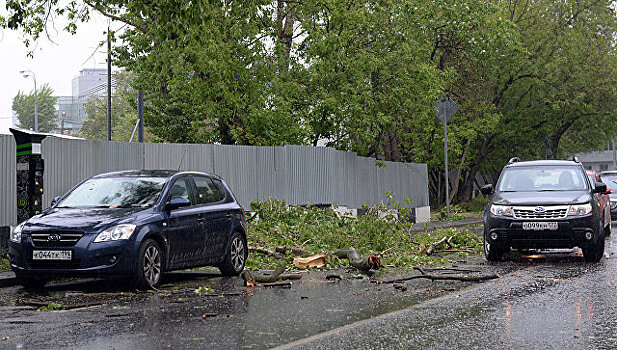 МЧС выпустило экстренное предупреждение по Москве