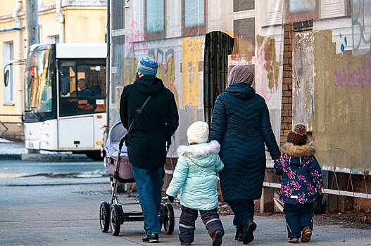 Изменение уровня жизни многодетных семей в России оценили